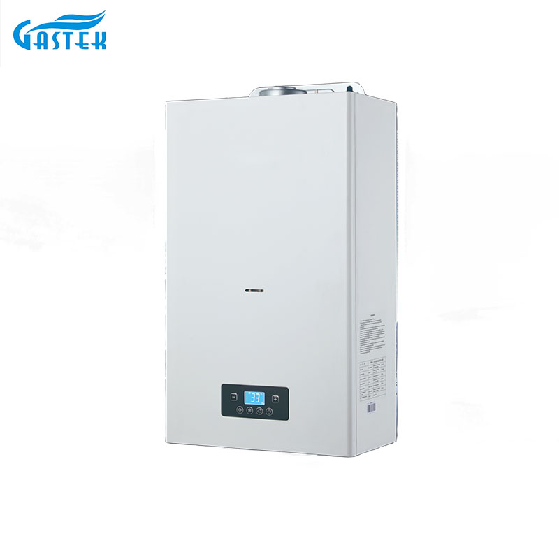 Chaudière de chauffage au gaz 20 kW 24 kW pour un usage domestique