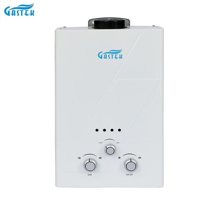 Type de conduit mural 6L 10L 12L 16L 20L Geyser à gaz instantané sans réservoir GPL pour douche