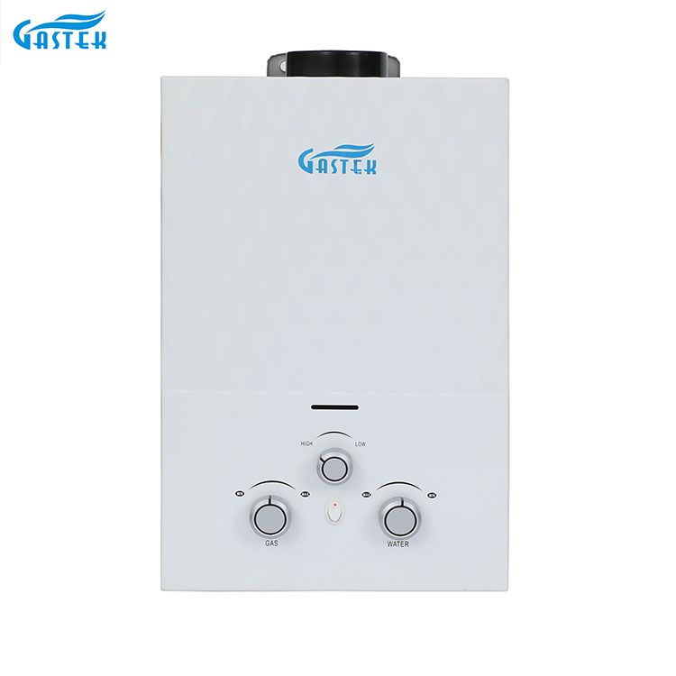Chauffe-eau instantané à gaz sans réservoir fixé au mur de type conduit pour la douche