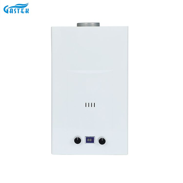 Flue Type 6L 8L 10L 12L 16L 18L 20L GEYSER DE GAS INSTANT LPG sans réservoir pour douche