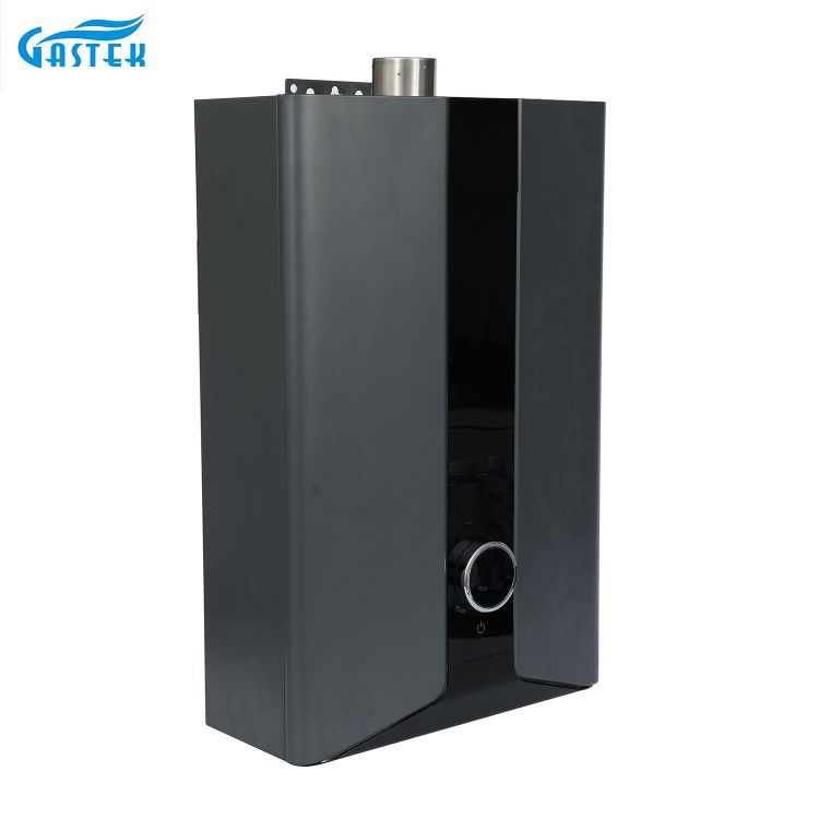 Électricité 220V 110V Panneau LCD Forcé Type à température constante Chauffeur d'eau à gaz de douche