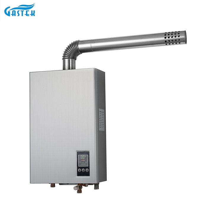 Chauffe-eau à gaz de taille compacte, électricité 220V 110V, température constante, Type forcé