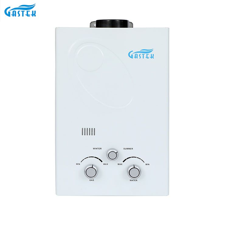 Type de conduit mural 6L 10L 12L 16L 20L chauffe-eau à gaz instantané GPL pour douche