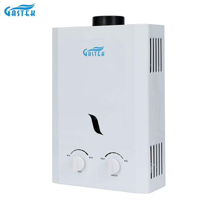 Geyser à gaz instantané sans réservoir, appareil ménager, type conduit, montage mural, 6L, 10L, 12L, 16L, 20L, GPL, pour douche