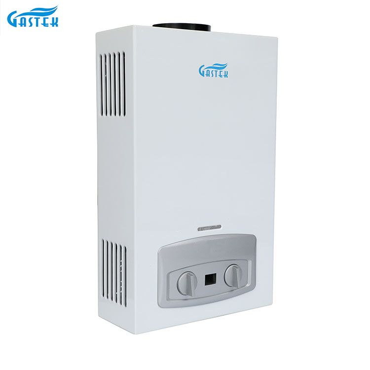 Appareil ménager Type de conduit mural 10L LPG chauffe-eau instantané sans réservoir à gaz pour douche