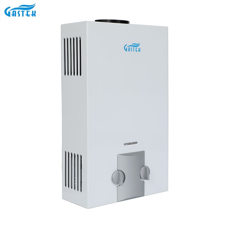 Geyser de gaz instantané sans réservoir de GPL de type de conduit d'ODM d'OEM d'usine d'appareil ménager fixé au mur 6L 10L 12L 16L 20L pour la douche