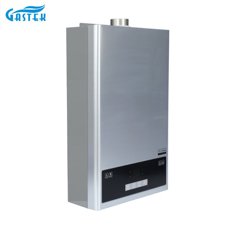 Chauffe-eau à gaz sans réservoir, appareil ménager de Type forcé, 220/110V, Turbo, taille compacte, pour douche